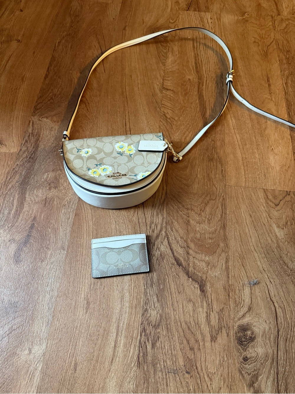 Coach Signature Daisy Crossbody with Chalk Trim
